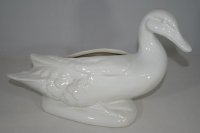 (Bild für) Ente Weiß glänzend
