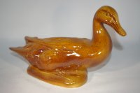 (Bild für) Ente Kölsch braun