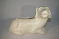 (Bild für) Hund Sahara