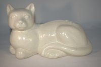 (Bild für) Katze Sahara