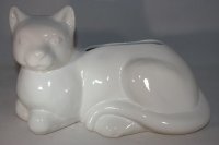 (Bild für) Katze weiß glänzend