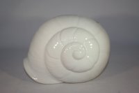 (Bild für) Muschel weiß glänzend