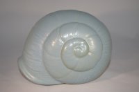 (Bild für) Muschel Lapis