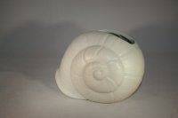 (Bild für) Muschel weiß matt