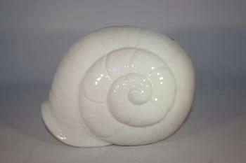 Muschel weiß glänzend