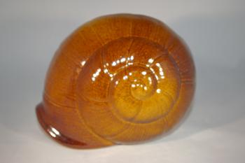 Muschel Kölsch braun